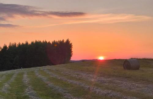 Domek Cichy Zakątek Beskid Niski - Foto 29