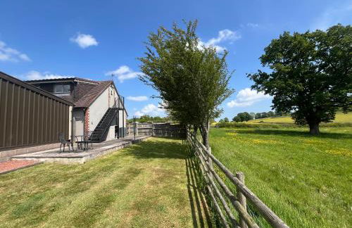 Viewpoint Studio - Foto 2