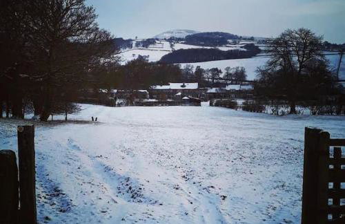 1800 Period Grade 2 Listed Cottage Addingham - Photo 17