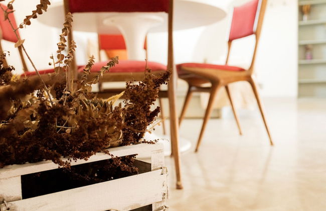 Casale alle Vigne - Foto 21