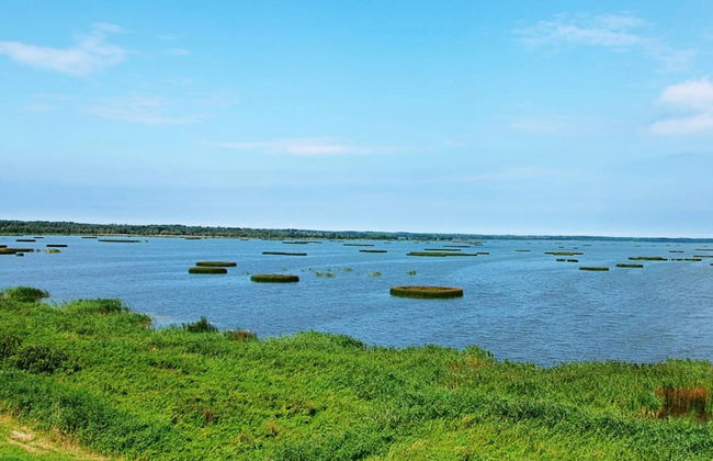 Comfortable Holiday Home With a Private Garden - Foto 35