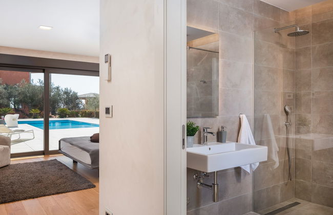 Old Olive VIII - Foto 18