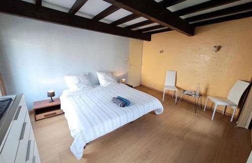 L'échappée authentique- Maison centre-ville- véranda climatisée-jardin - Photo 17