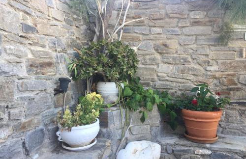 Anna's Studio - Photo 58