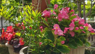 Apartment Zorka - Foto 5