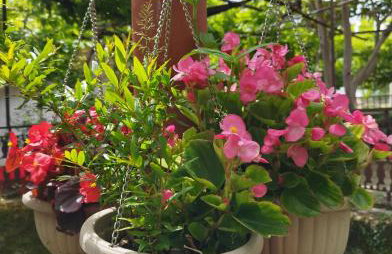 Apartment Zorka - Foto 5