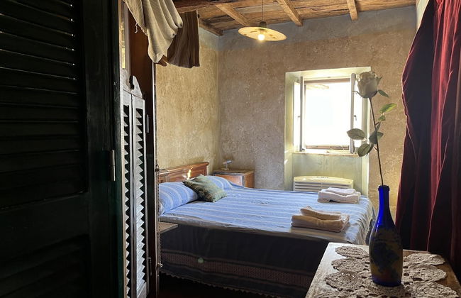 Preta Nera Van Gogh in Giuliano di Roma - Foto 3