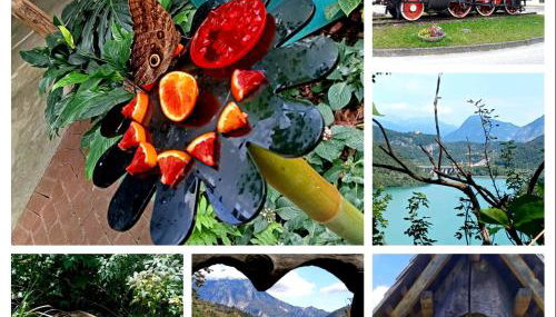 Casa della musica - Foto 4