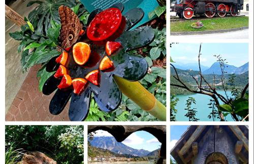 Casa della musica - Foto 4