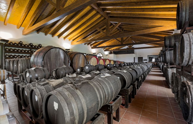 Agriturismo Acetaia Sereni - Foto 11