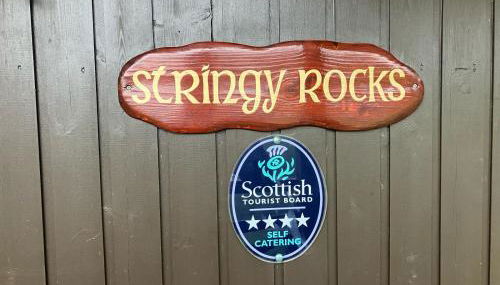 Stringy Rocks - Photo 2