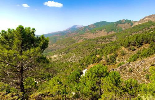 FINCA EL ALMENDRO - Foto 35