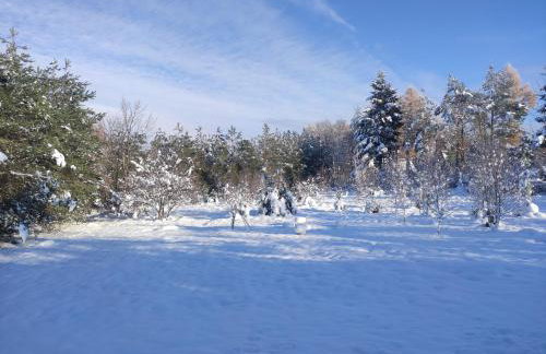 Ślusarnia-domek z sauną i balią nad jeziorem, Kaszuby - Foto 37