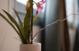 Le Tartarughe di Ro' Casavacanze - Photo 10