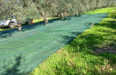 Podere Campanella - Photo 28