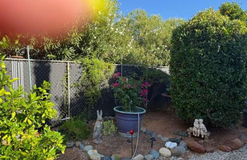 Private Oasis in the Mountains - Foto 21