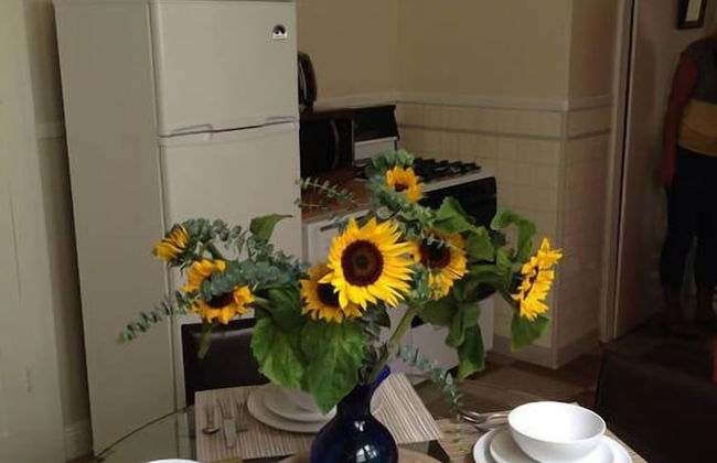 Charming 2 bdrm Dolores Heights Apt - Photo 7