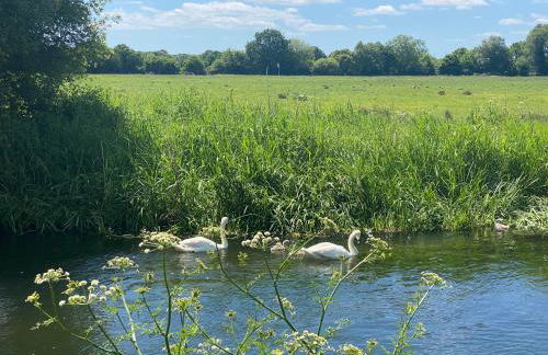 Lilypad A central location to explore the New Forest & South Coast - Foto 24