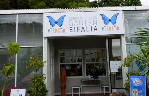 Relaxen am Nationalpark Eifel - Foto 62