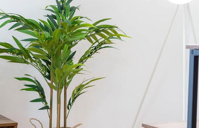 Walker Suite No54 - Donnini Apartments - Foto 19