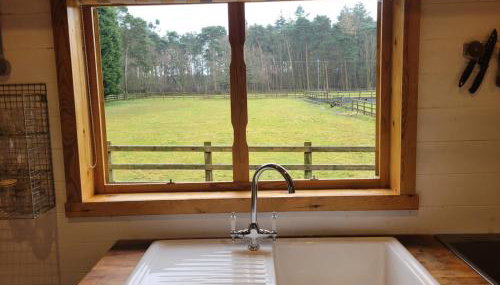 The Retreat 1 bed cabin in the woods - Foto 5