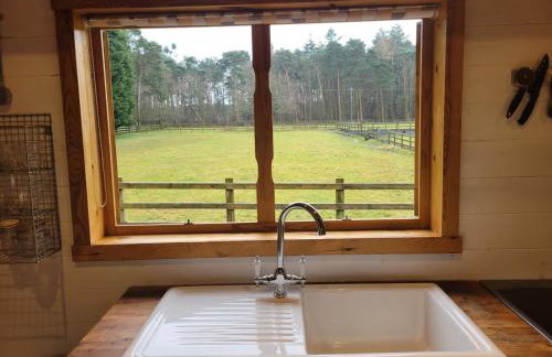 The Retreat 1 bed cabin in the woods - Foto 5