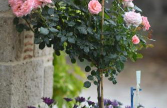 Tassos Rooms - Foto 22