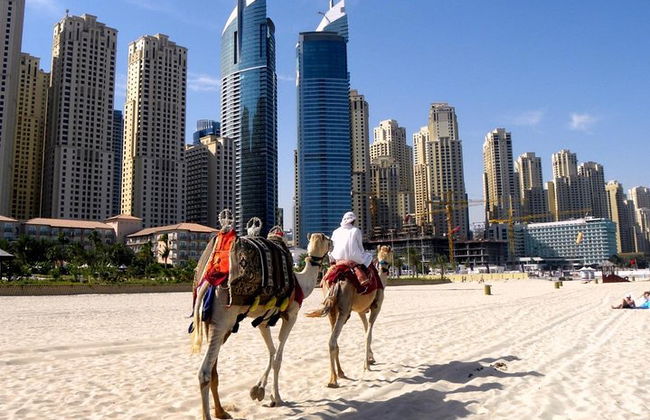 Dubai Modern & Classic City Tour - Photo 14