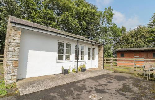 Vallum Kiosk - Foto 14