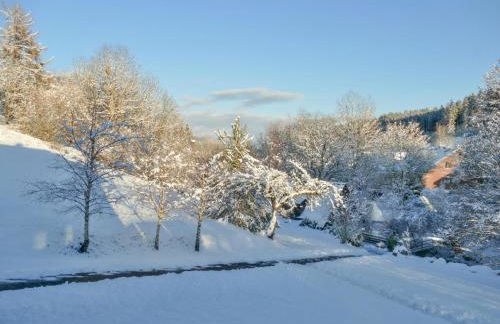 Alte Muehle - Foto 24