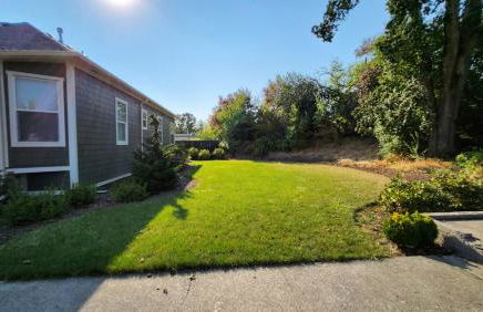 The 1908 Bungalow - Foto 2