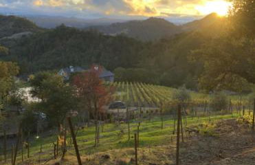 Old Toll Road Inn - Foto 1