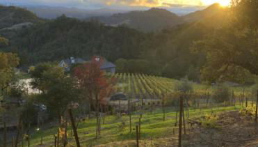 Old Toll Road Inn - Foto 1