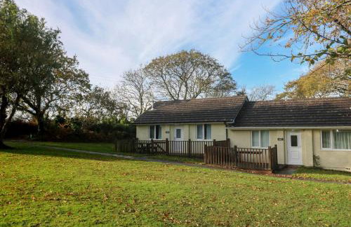 Little Egret - Number 2 - Foto 19