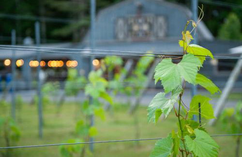 Historic Winery Farmhouse by Lake - Foto 38