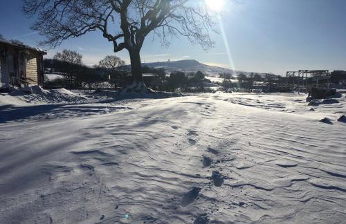 RedWood Lodge - Photo 33