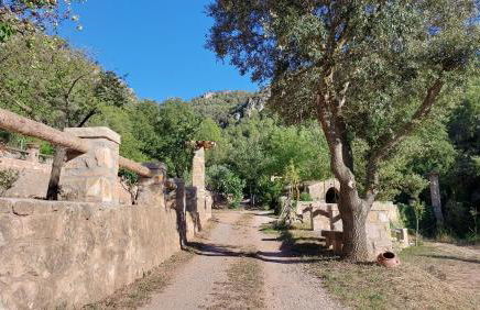 La Calma Montblanc Prenafeta - Photo 11