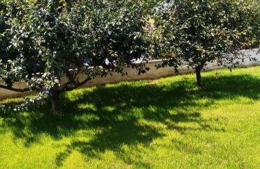 House of Silence - Foto 15