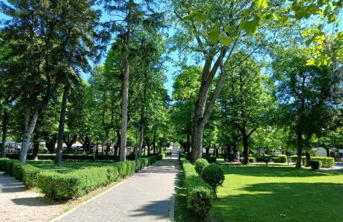 Marruvium 1937's - Foto 5