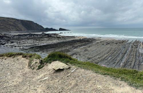 Cotts Cabin - Welcombe - 2 min walk to pub - Foto 12