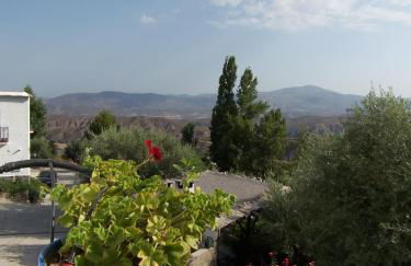 Balcón de Válor - Foto 48