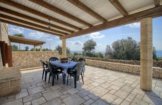 Salvia Lovely Seaview - Foto 10