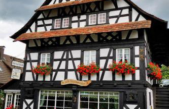 Black Forest Stay - Apartment Hirschperle - Foto 49