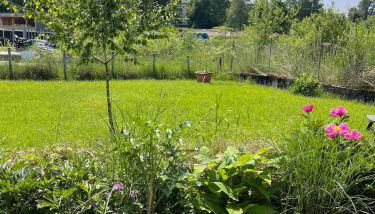 Luxuriöse Ferienwohnung im Herzen des Allgäus - Foto 4, Garden, Garden view