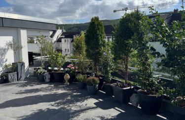 Ahrterrassen Penthouse - Foto 7