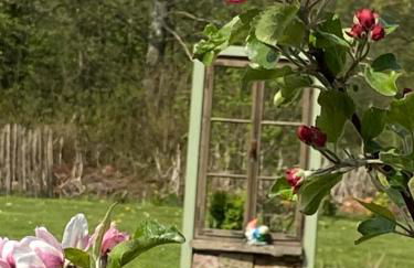 Ferienhaus Maar - Foto 24