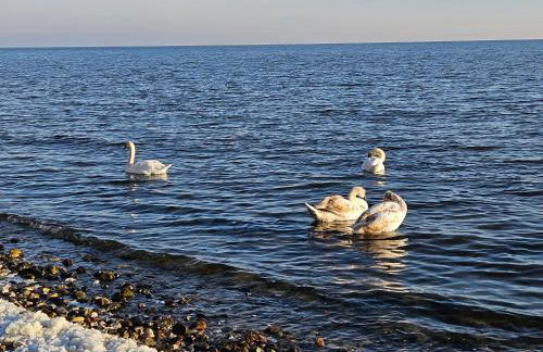 Ferienwohnung Lisa - Foto 25