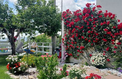 Casa vacanze Arcobaleno - Foto 20