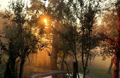 House Sara - Foto 33