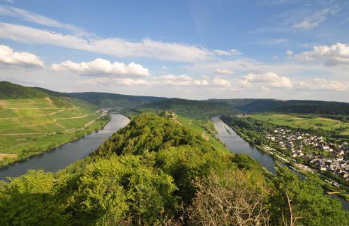 Ferienwohnung am Moselufer - Foto 38